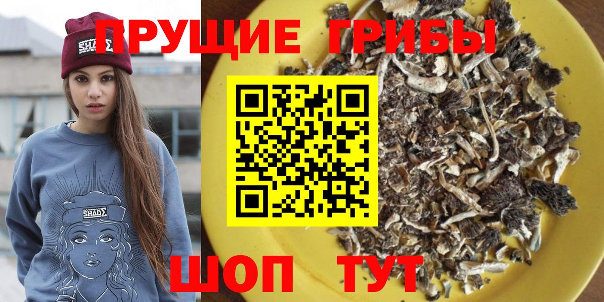 Псилоцибиновые грибы Cubensis Лесозаводск