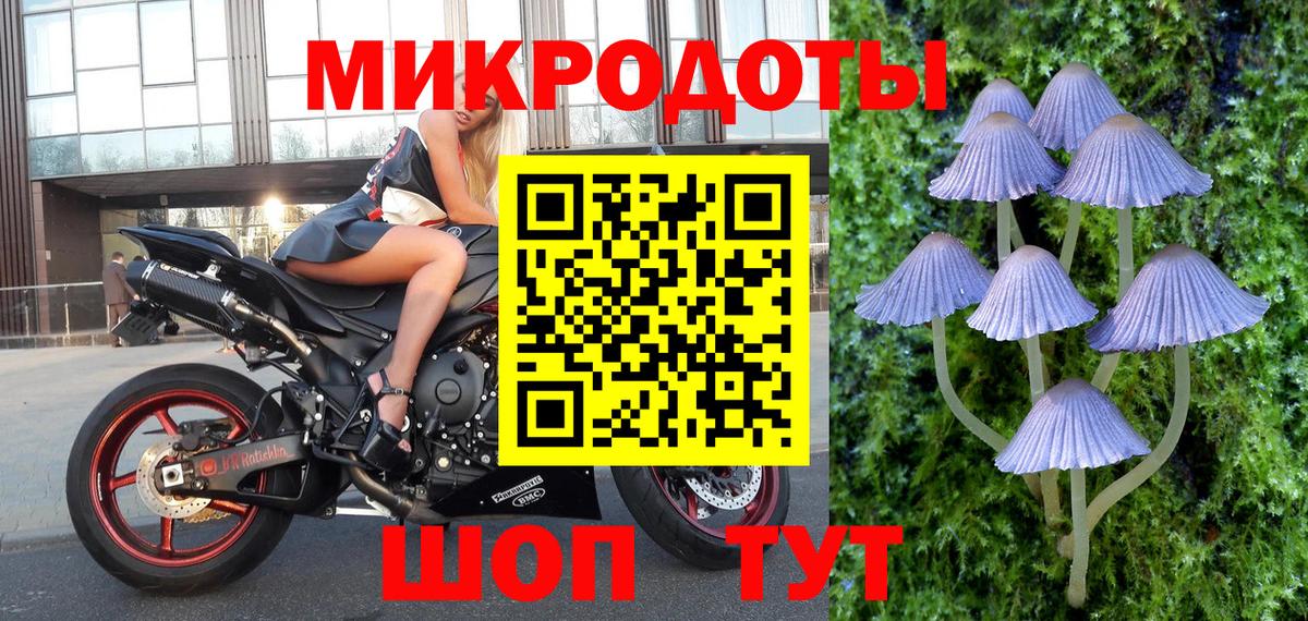 Галлюциногенные грибы прущие грибы  Вход с VPN  Лесозаводск  Галлюциногенные грибы прущие грибы 